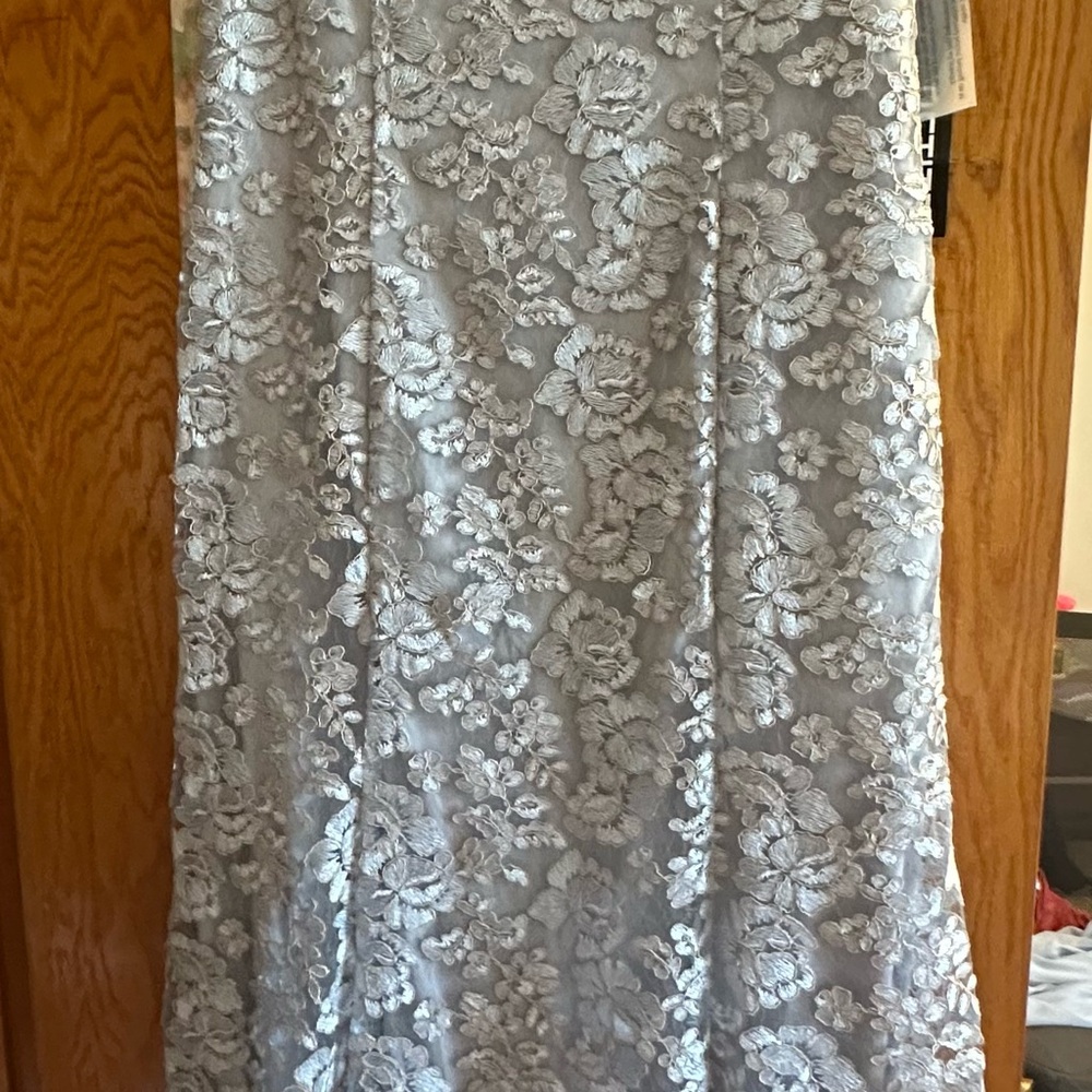 Alex Evenings Petite Lace Dress